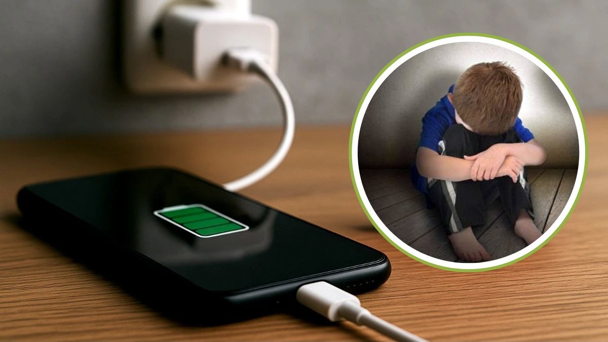 मोबाईल चार्जरमुळे अचानक लागला शॉक!