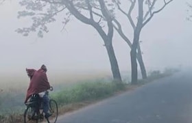 Maharashtra Weather: अनेक जिल्ह्यात येणार थंडीची लाट, हवामान विभागाचा अलर्ट Maharashtra Weather