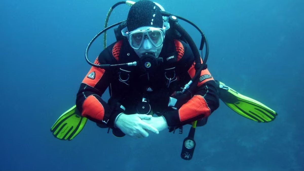 पीरियड्स सुरू असताना समुद्रात जाणं पडलं महागात! अचानक 'तो' मासा झाला तिच्याकडे आकर्षित झाला अन्...