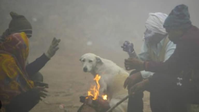 Maharashtra Weather : 'या' भागात कोरडे हवामान राहण्याची शक्यता, तर काही भागांत थंडीची लाट Maharashtra Weather