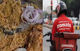 तरुणांनी झोमॅटोवरून मागवलं चिकन, जेवनातच आढळली पाल, नंतर तरुणाला झाल्या उल्ट्या अन्... crime news