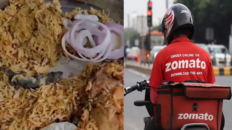 तरुणांनी झोमॅटोवरून मागवलं चिकन, जेवनातच आढळली पाल, नंतर तरुणाला झाल्या उल्ट्या अन्... crime news