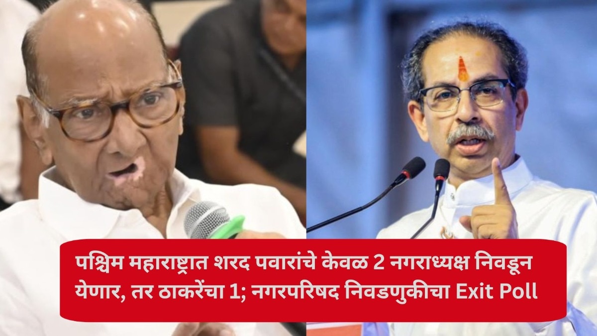 पश्चिम महाराष्ट्रात शरद पवारांचे केवळ 2 नगराध्यक्ष निवडून येणार, तर ठाकरेंचा 1; नगरपरिषद निवडणुकीचा Exit Poll