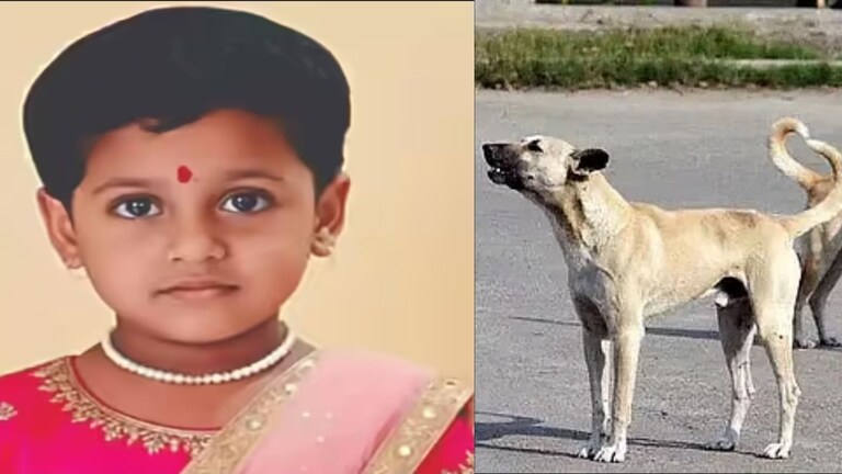 दिव्यात 5 वर्षाच्या चिमुरडीवर भटक्या कुत्र्याचा प्राणघातक हल्ला, उपचारादरम्यान दुर्दैवी अंत Diva Dog Attack Child Death
