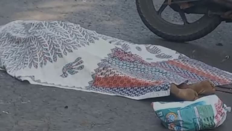 रत्नागिरीत देवदर्शनाला जाताना भीषण अपघात, महिला खाली कोसळली अन् तोंडावरून गेलं गाडीचं चाक Ratnagiri accident