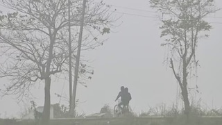 Maharashtra Weather : राज्यावर हिमवादळाचं सावट, तर काही भागांत पसरणार धुक्याची चादर Mumbai Tak