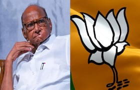 वडील शरद पवारांच्या राष्ट्रवादीचे आमदार, पण मुलगा अन् सून कमळ चिन्हावर लढणार! मतदारसंघातून तुतारी गायब sharad pawar