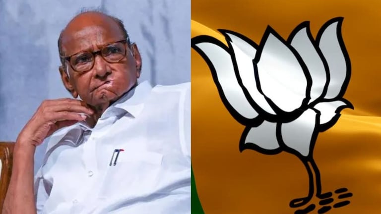 वडील शरद पवारांच्या राष्ट्रवादीचे आमदार, पण मुलगा अन् सून कमळ चिन्हावर लढणार! मतदारसंघातून तुतारी गायब sharad pawar