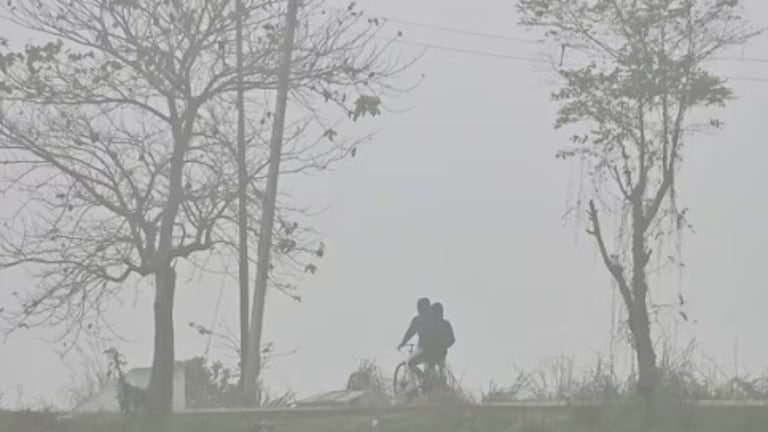 राज्यातील काही विभागात पहाटे पसरणार धुक्याची चादर, तर 'या' ठिकाणी तापमानात होणार घट maharashtra weather
