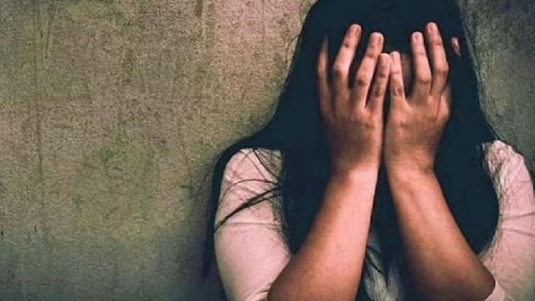 मालकिणीचा अंघोळ करतानाचा व्हिडिओ बनवला, मित्रासोबत मिळून दोन महिने अत्याचार, 'असं' बाहेर आलं प्रकरण Mumbai Tak