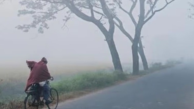 Maharashtra Weather : राज्यातील 'या' जिल्ह्यांमध्ये हवा पालटली, काही ठिकाणी मोठं संकट... हवामान विभागाचा अलर्ट 
