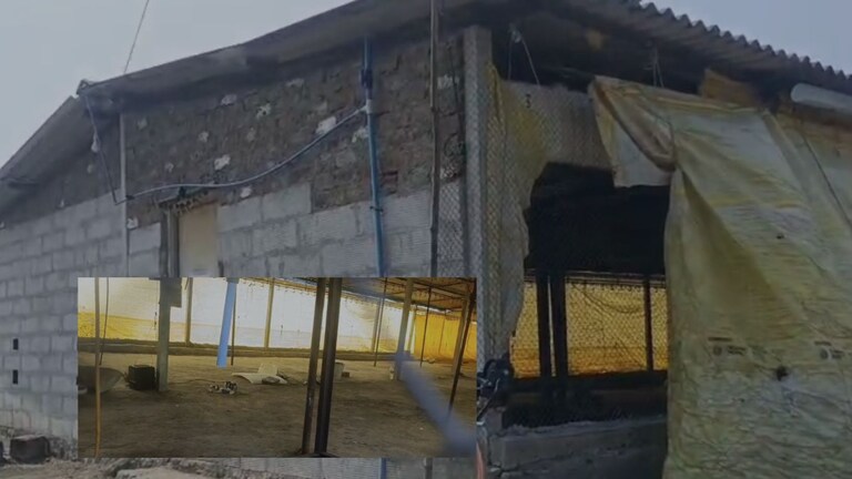 महाराष्ट्रात चाललंय तरी काय? साताऱ्यातील दुर्गम भागात DRI ची धाड, 55 कोटींचं ड्रग्ज अन् कच्चा माल जप्त Satara drugs racket