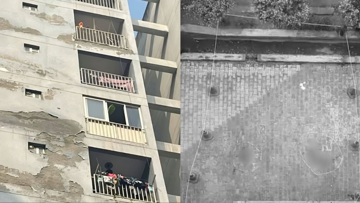 कोरियन गेम खेळणाऱ्या मुलींच्या वडिलांचा मेहुणीशी दुसरा विवाह, दोघीही सोबतच... कुटुंबाची हिस्ट्री आली समोर