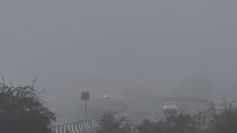 Maharashtra Weather : राज्यातील 'या' विभागात किंचित धुके राहण्याची शक्यता, हवामान विभागाचा महत्त्वाचा अलर्ट Maharashtra Weather