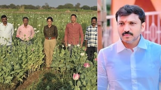 धाराशिव : ठाकरे गटाच्या उप-तालुकाप्रमुखाच्या शेतात अफूची शेती, 72 लाख रुपये किमतीची अफूची झाडे जप्त; ओमराजेंच्या भूमिकेकडे लक्ष Mumbai Tak