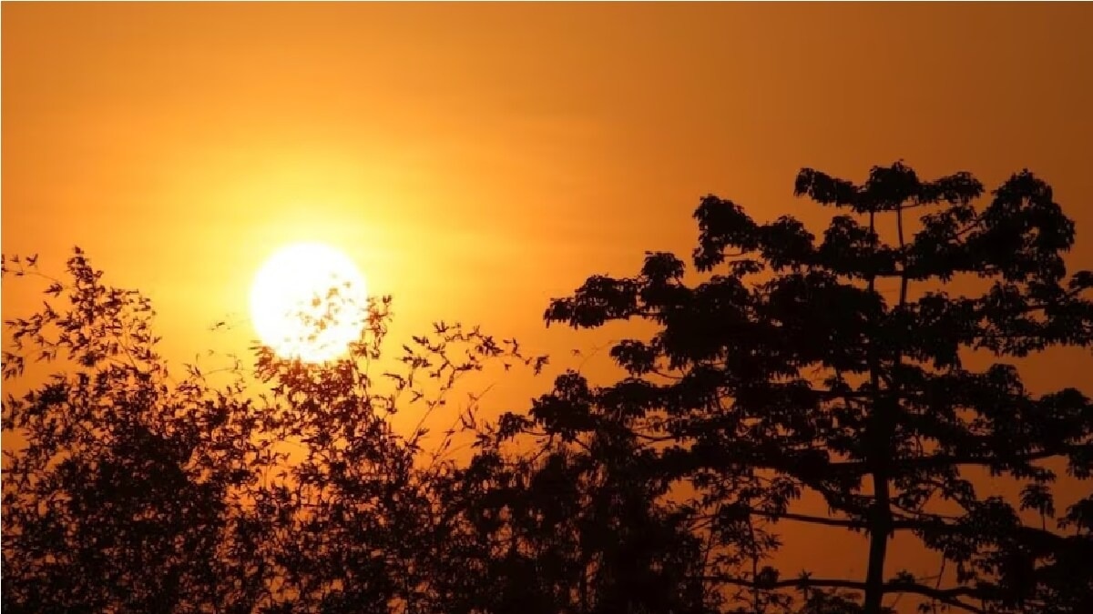 थंडीचा हंगाम संपत नाही तोवरच महाराष्ट्रावर उष्णतेचं संकट, 'या' जिल्ह्यातील लोकांच्या अंगातून वाहणार घामाच्या धारा