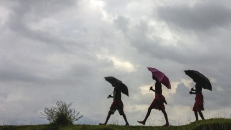 Maharashtra Weather : राज्यात कुठे ऊन तर कुठे पाऊस, निसर्गाचा मोठा खेळ Maharashtra Weather