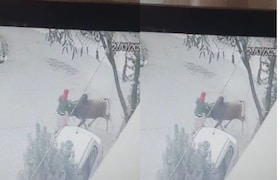 नागपूर : 64 वर्षीय महिलेवर बैलाने हल्ला केला, पीडितेच्या मेंदूला जबर मार, मृत्यूशी देते झुंज.. Video व्हायरल Nagpur News