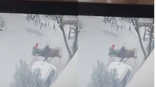 नागपूर : 64 वर्षीय महिलेवर बैलाने हल्ला केला, पीडितेच्या मेंदूला जबर मार, मृत्यूशी देते झुंज.. Video व्हायरल Mumbai Tak