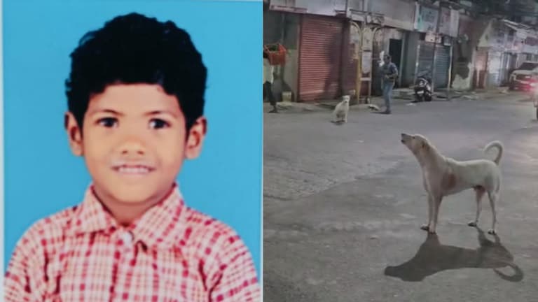 कल्याण : 7 वर्षांचा खुशील अंगणात खेळत होता, भटका कुत्रा चावल्याने जीव गेला, वाचवण्यासाठी आलेल्या मित्रालाही... Kalyan News