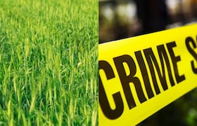 मुलाच्या प्रेमाची शिक्षा आईला, गव्हाच्या शेतात सामूहिक बलात्कार करुन केली हत्या, प्रेयसीच्या कुटुंबियांचे कृत्य Crime News