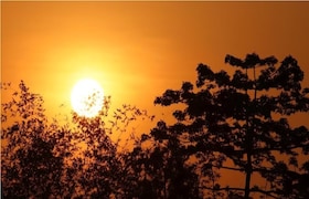 राज्यात उष्णतेचा पारा वाढला, 'हा' जिल्हा अधिक तापणार, हवामान विभागाचा महत्त्वाचा अलर्ट maharashtra weather