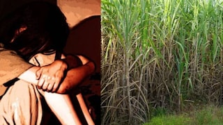 पुरुषाने पैशाचे आमिष दाखवून शेतात नेलं, नंतर 8 वर्षाच्या मुलीवर केले लैंगिक अत्याचार Mumbai Tak