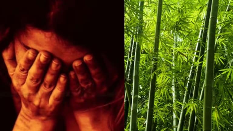 दहा मिनिटात येते असं सांगून गेली अन् परतलीच नाही, अल्पवयीन विद्यार्थिनीची बलात्कार करुन हत्या; 16 वर्षीय प्रियकर ताब्यात Crime News