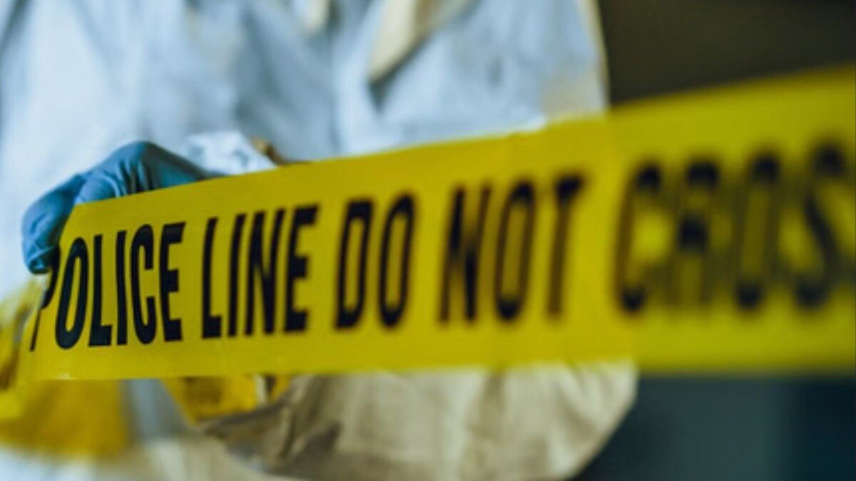 crime news