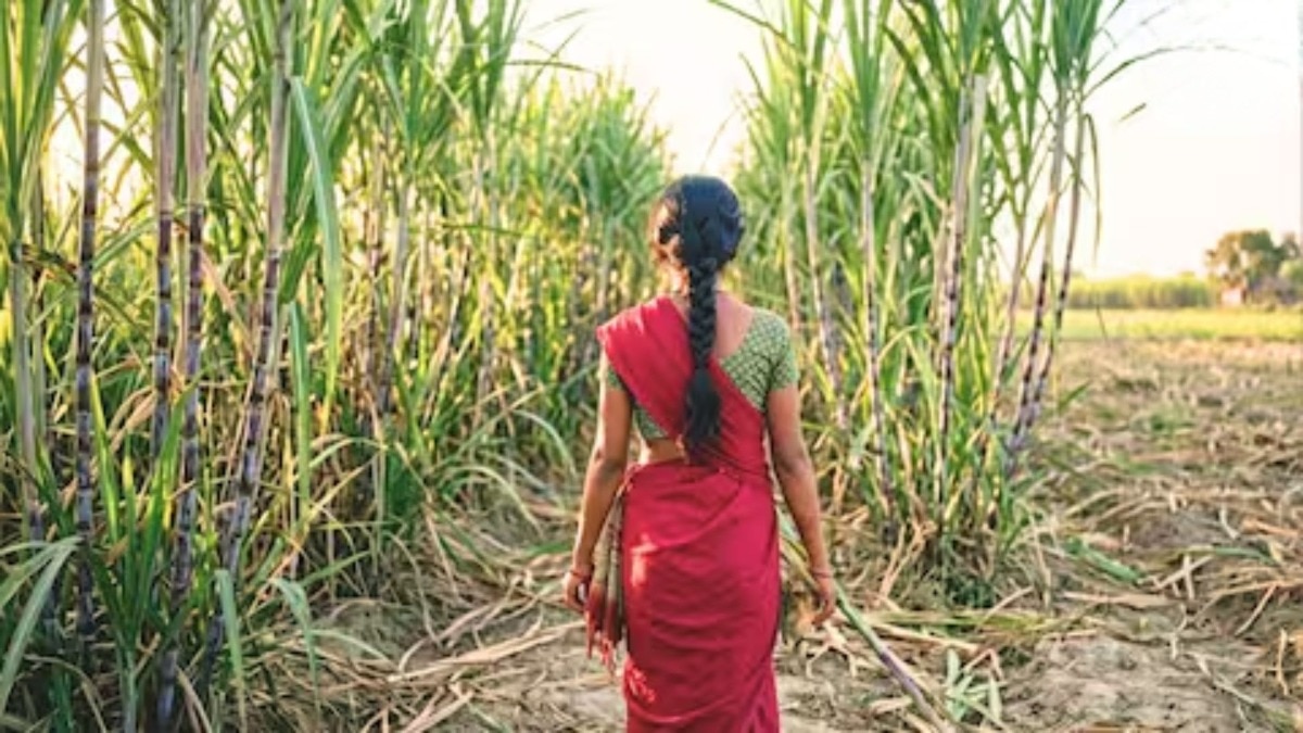 17 वर्षीय पीडितेचा अर्धनग्न अवस्थेत मृतदेह... 