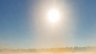 Maharashtra Weather : मार्च महिन्यात उष्णतेची लाट, 3 जिल्ह्यांना तापमानाचा यलो अलर्ट Mumbai Tak