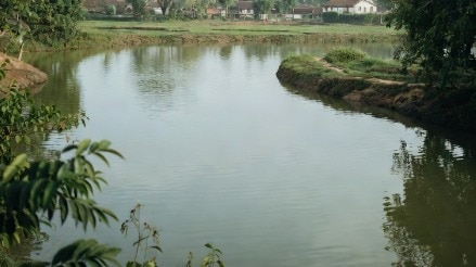 8, 6 आणि 5 वर्षांच्या तीन चिमुकल्या मुलींना पाण्यात बुडवून मारलं, बापाने लेकींना का संपवलं? 