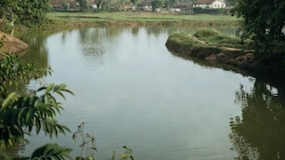 8, 6 आणि 5 वर्षांच्या तीन चिमुकल्या मुलींना पाण्यात बुडवून मारलं, बापाने लेकींना का संपवलं? Mumbai Tak