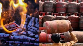 LPG चा तुटवडा झाला तर सरकार स्वयंपाकासाठी लाकडं देणार, 'या' भाजपशासित राज्याने घेतला निर्णय Mumbai Tak