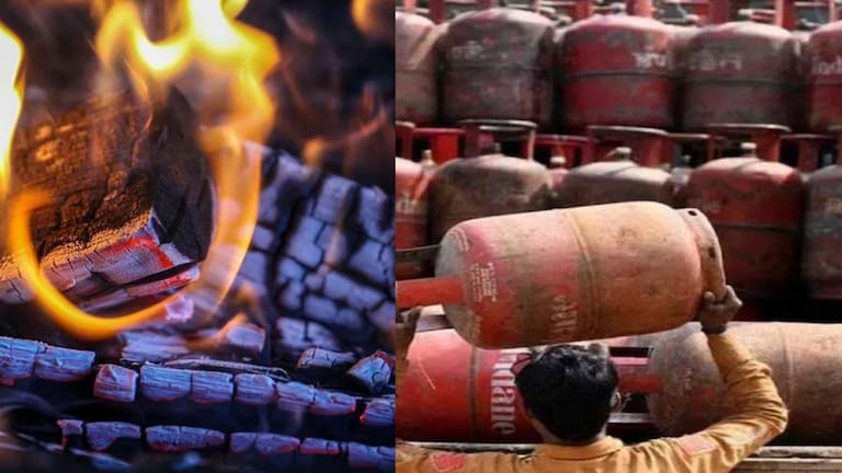 LPG चा तुटवडा झाला तर सरकार स्वयंपाकासाठी लाकडं देणार, 'या' भाजपशासित राज्याने घेतला निर्णय LPG Gas Shortage