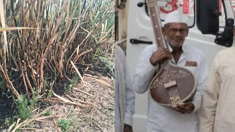 बीड : ऊसाच्या फडात वयोवृद्ध वारकऱ्याचा जळालेला मृतदेह आढळला, आत्महत्येचा संशय; नेमकं काय घडलं? Beed Crime