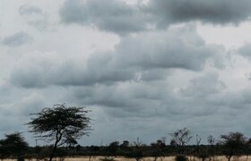 Maharashtra Weather : राज्यात 'या' 7 जिल्ह्यांना अवकाळी पावसाचा फटका, हवामान खात्याचा अलर्ट Maharashtra weather