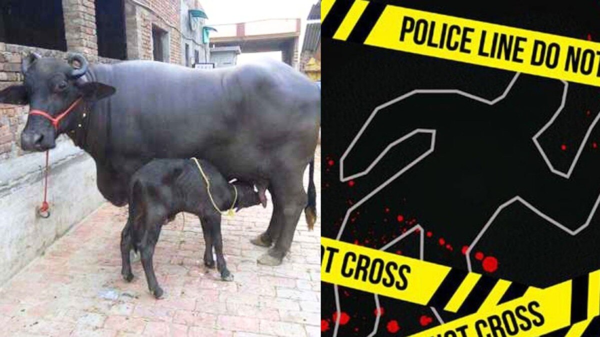 Crime News