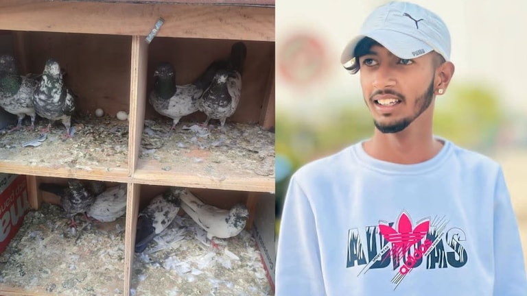 पुणे : कबुतर पाहायला थांबले, कुत्रा भुंकल्याने पळू लागले; कबुतर चोरल्याच्या संशयावरुन लोकांकडून मारहाण, एकाचा मृत्यू Pune Crime News