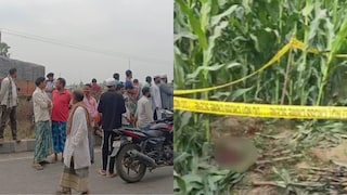 मक्याच्या शेतात बलात्कार करुन तरुणीला जिवंत जाळले; पोलिस म्हणतात, 'तुम्हीच मारले असेल!' संतप्त नातेवाईकांनी काय केलं बघा? Mumbai Tak