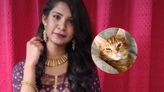 MBBS तरुणीने मांजर पाळली, कुटुंबीयांनी घातला वाद, अखेर महिला डॉक्टरनं उचललं टोकाचं पाऊल Mumbai Tak