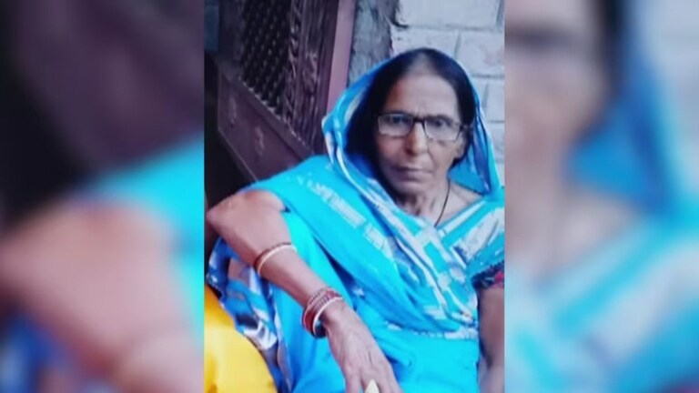 प्रॉपर्टीसाठी मुलगा बनला राक्षस! म्हाताऱ्या आईला काठीने बेदम मारहाण करत आधी हात-पाय मोडले अन् नंतर घेतला जीव Crime News