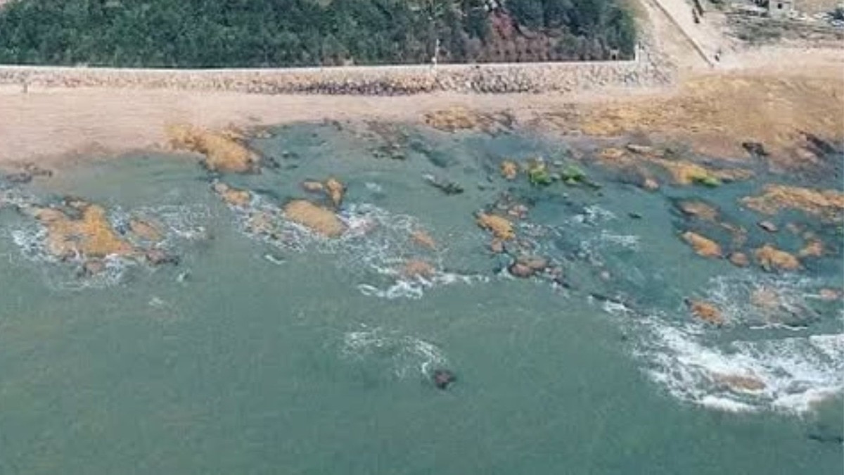 मुंबईची खबर : समुद्राचे पाणी होणार गोड, फक्त पर्यावरण मंत्रालयाची परवानगी बाकी; मुंबईकरांच्या पाण्याचा प्रश्न कायमचा सुटणार?