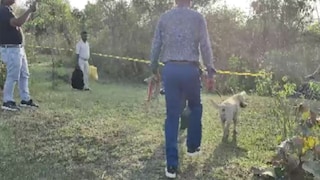 मित्रासोबत कॉलेजच्या पाठीमागील जंगलात गेली अन् 9 महिन्यांनी पोलिसांना सापडला सांगाडा, पण कोणाचा? Mumbai Tak