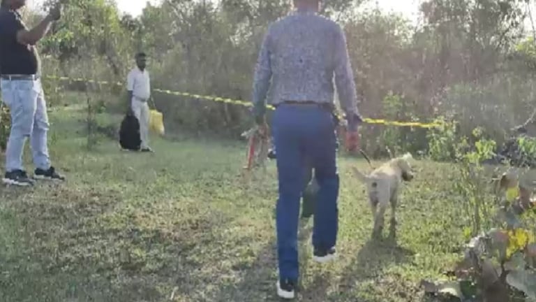मित्रासोबत कॉलेजच्या पाठीमागील जंगलात गेली अन् 9 महिन्यांनी पोलिसांना सापडला सांगाडा, पण कोणाचा? Crime News