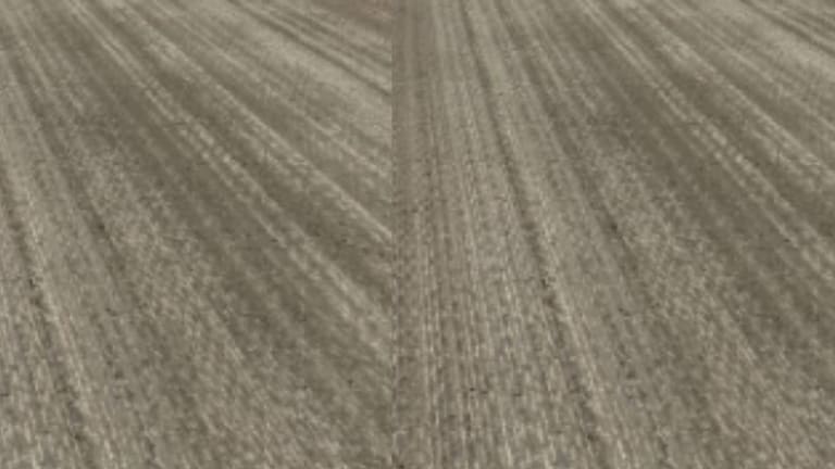 पुण्याची गोष्ट : कर्वेनगरमध्ये 3 दिवसांपूर्वी केलेल्या उड्डाणपुलाचे डांबर वितळले, वाहतुकीसाठी तात्पुरता रस्ता बंद Pune News