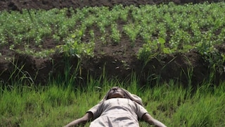 दोघांचा खून, शेतात महिला अर्धनग्नअवस्थेत तर तरुणावर गोळीबार; अंगावर काटा आणणारा घटनेचा थरार Mumbai Tak