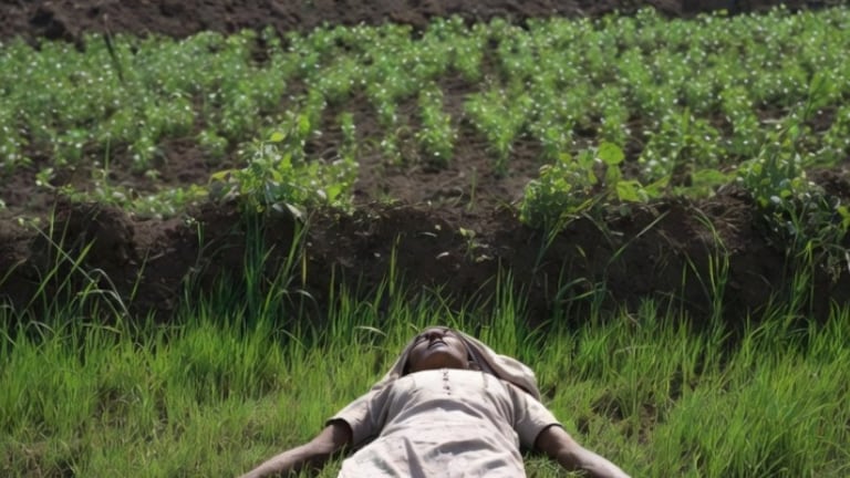 दोघांचा खून, शेतात महिला अर्धनग्नअवस्थेत तर तरुणावर गोळीबार; अंगावर काटा आणणारा घटनेचा थरार crime news