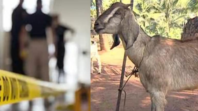 घोंगडीला शेळीचे केस चिटकलेले दिसले, अन् चिमुरड्या मुलीची हत्या करणारा सापडला, नेमकं काय घडलं? Crime News