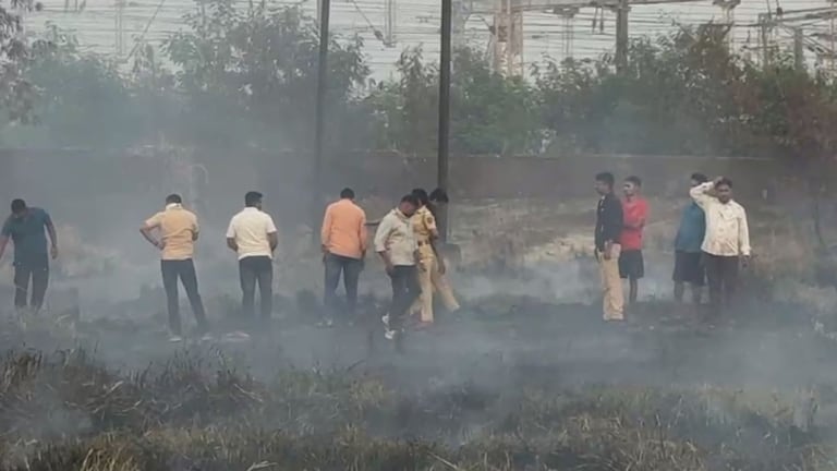 वसई : सुट्टी असल्याने मुलं क्रिकेट खेळायला गेली, पण समोरचं भयंकर दृश्य पाहून पळत सुटली! Vasai Crime News